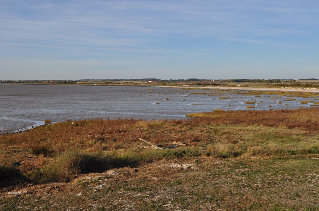 La Tremblade. 22 octobre 2016 